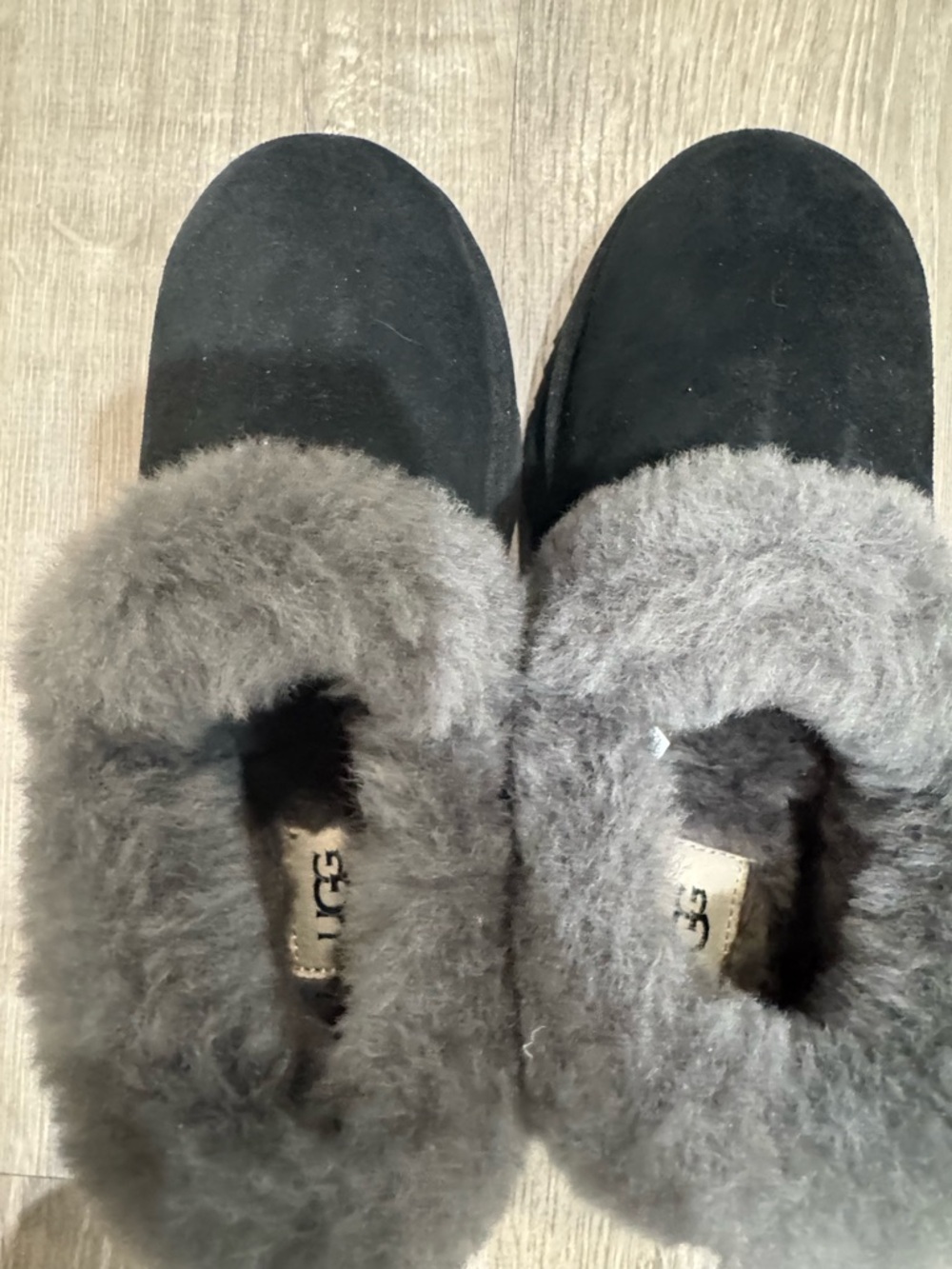 UGG Black Tazzette